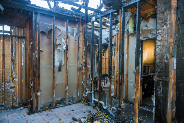 Professional Odor Removal technician working in Mansfield, LA